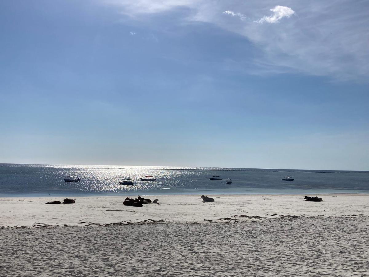 Mambo Paradise Matemwe  Buitenkant foto