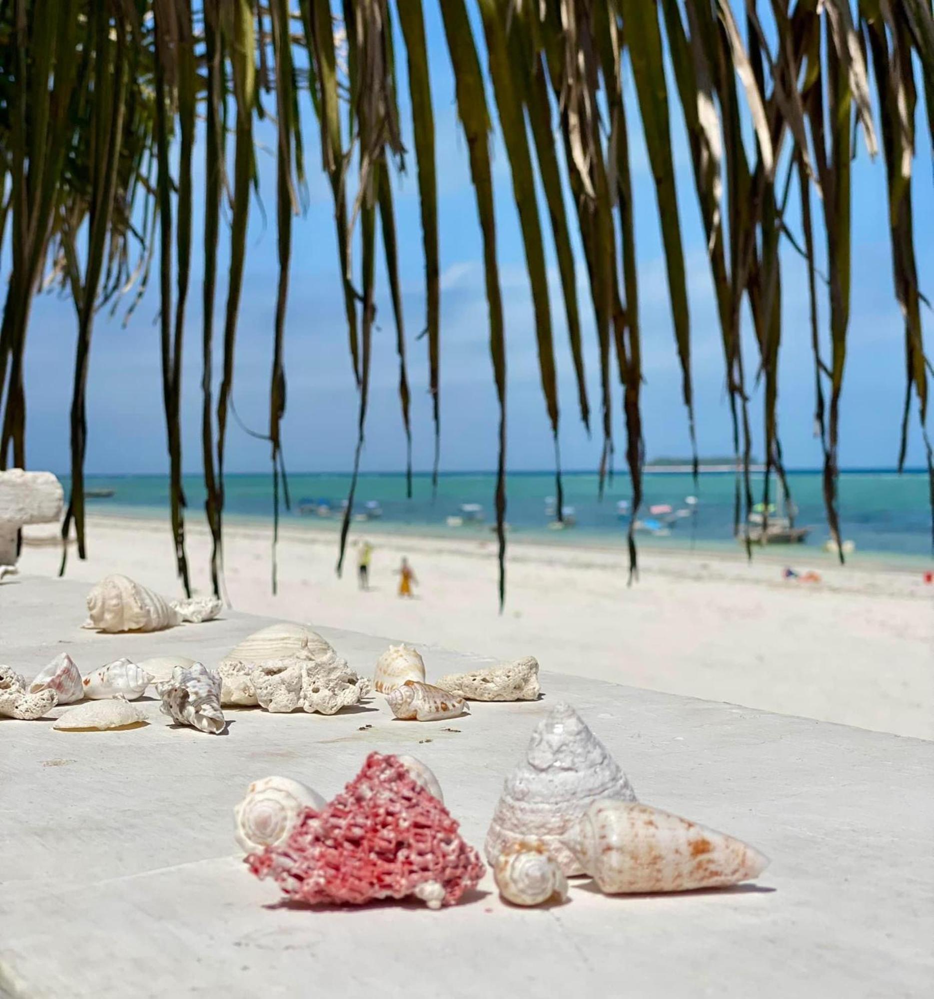 Mambo Paradise Matemwe  Buitenkant foto